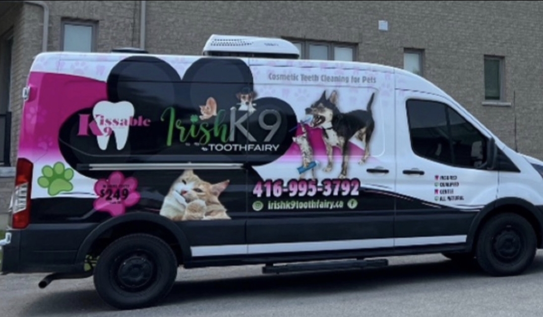Pet Teeth Cleaning